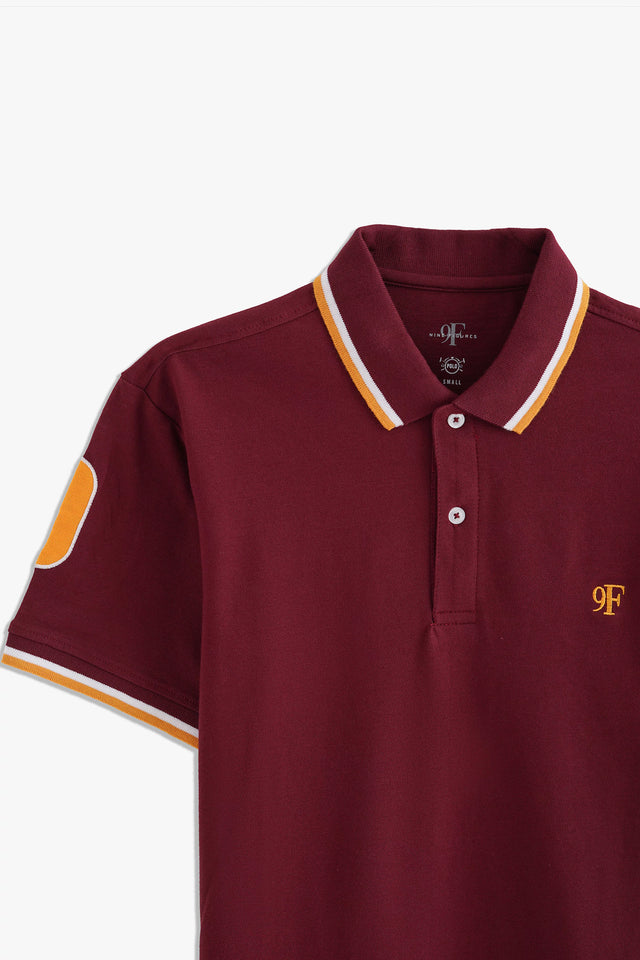 Tipping Collar Embroidered Polo