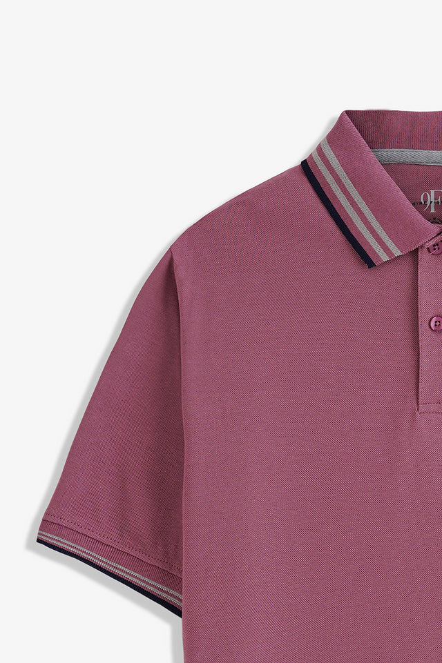 Tipping Collar Embroidered Polo