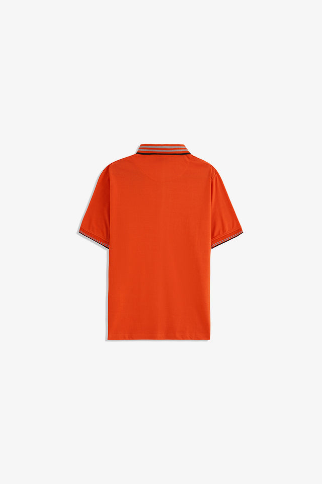 Tipping Collar Embroidered Polo