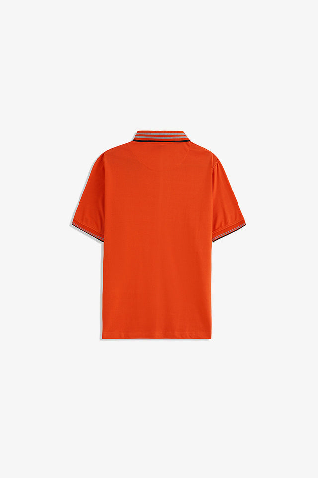 Tipping Collar Embroidered Polo