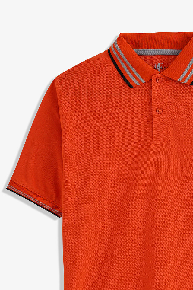 Tipping Collar Embroidered Polo