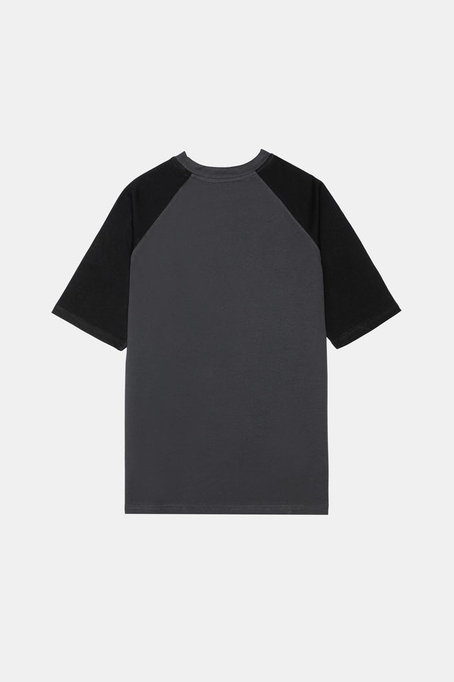 Printed Reglan Sleeve T-Shirt